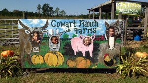 cowart ranch and farms animals maze dayz (1)      